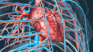 Parada cardiorrespiratória: causas, sinais, tratamento e prevenção