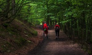 Não fique aí parado! Comece a usar bastões de trekking na corrida