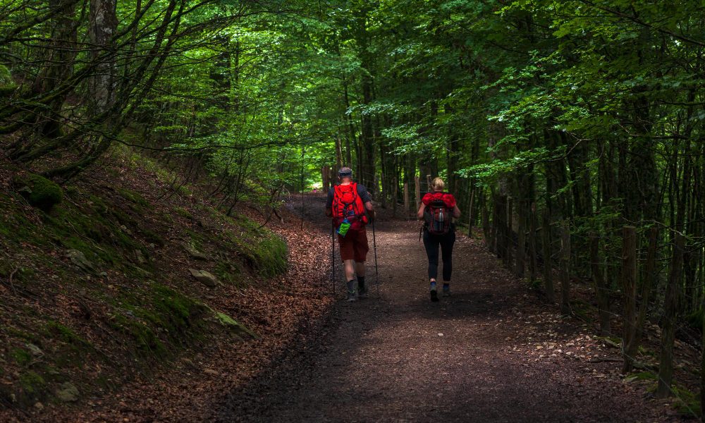 Não fique aí parado! Comece a usar bastões de trekking na corrida