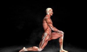 Iliopsoas: um músculo que pode ajudar na performance da corrida