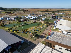 Corrida do Vinho 2025 abre inscrições para experiência esportiva e sensorial entre vinhedos em Brasília