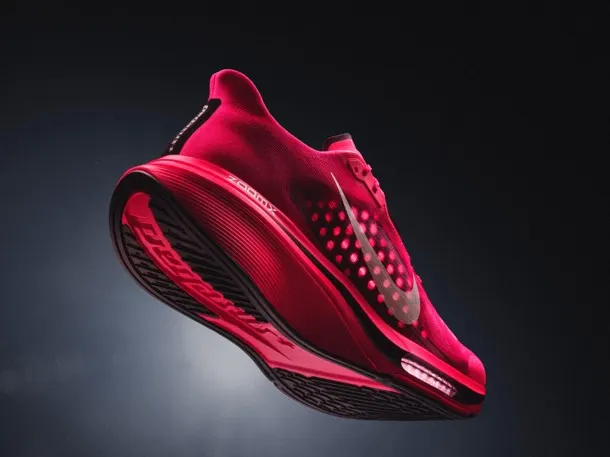 nike-pegasus-plus-2-2_low