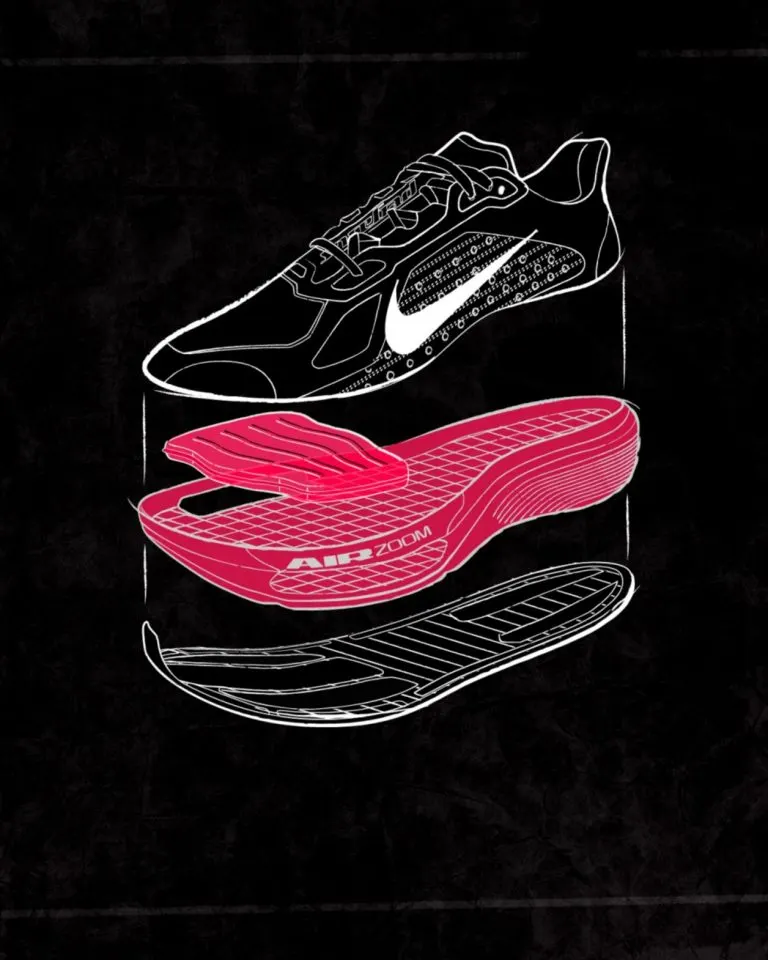 nike-pegasus-plus-2-graphic_low